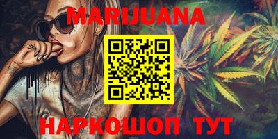 индика Кандалакша
