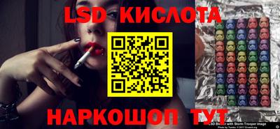 индика Кандалакша