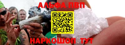 дмт Кингисепп