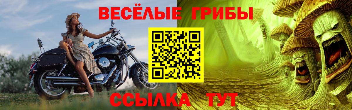 Галлюциногенные грибы прущие грибы  Вход с VPN  Псилоцибиновые грибы мухоморы  Крымск 